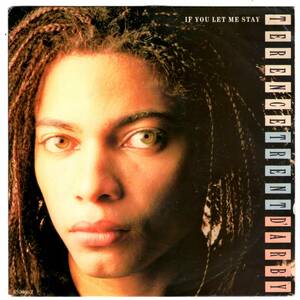 DISCO FUNK.SOUL.ELECTRO.ROCK,POP.45★Terence Trent D'Arby / If You Let Me Stay / 7インチ / 