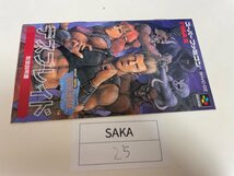 任天堂　【説明書のみ】　SFC　スーパーファミコン　デスブレイド SAKA25_画像1