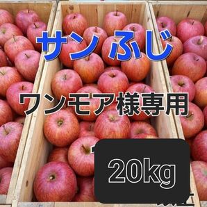 ワンモア様専用 サン ふじ 20kg以上 家庭用 青森産 りんご