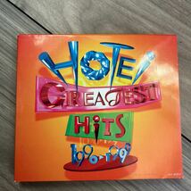 布袋寅泰 ベストアルバム CD HOTEI GREATEST HITS 1990-1999 さらば青春の光 スリル バンビーナ POISON サレンダー_画像1