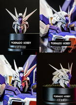 【TORNADO HOBBY】1/100 MG Hi-νガンダム ハイニュー 用 ヘッドパーツ 色付き 3Dプリント品 改造 未組立 プラモデル 新品_画像2