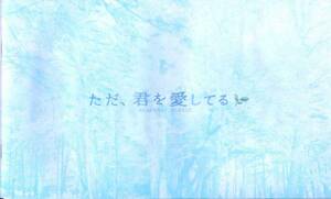 ただ君を愛してる パンフ&チラシ★玉木宏/宮崎あおい/小出恵介★パンフレット フライヤー 映画 aoaoya