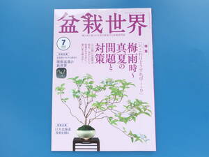  bonsai world 2023 year 7 month number / special collection : rainy season hour ~ genuine summer. problem . measures this is .. if so? new ... length branch leaf . point measures /. root bonsai. new world / huge Hokkaido genuine Kashiwa ...