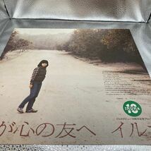 再生良好 極美盤 LP レコード 帯 IRUKA イルカ 我が心の友へ_画像3