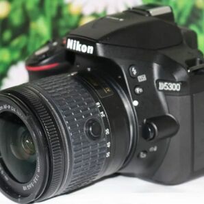 ☆美品☆ニコン Nikon D5300☆WIFI機能付き！☆付属品多数！