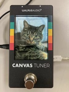 Walrus Audio ウォルラスオーディオ Canvas Tuner　あなたの好みにカスタマイズする　高精度チューナー　ペダルチューナー　WAL-CANV/TU