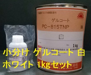 FRP ゲルコート 白 小分け１㎏セット 送料込み 不飽和ポリエステル樹脂