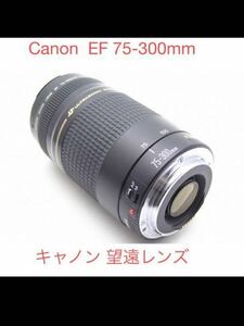 Canon レンズ 