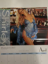 即決 アンティーク 下着メーカー シャーリー カレンダー 2005 Shirley OF HOLLYWOOD calendar lingerie ランジェリー ヴィンテージ _画像5