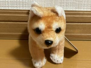 リアル　アニマル 犬おさんぽマスコット ぬいぐるみ　1種　未使用　柴犬