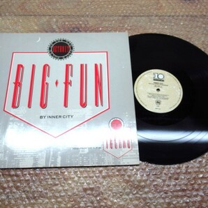 Inner City / Big Fun / TENX 240 / 12inc / クラブミュージックレコード LP ▼の画像1
