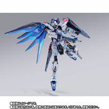 【送料無料】新品未開封 METAL BUILD フリーダムガンダム CONCEPT 2 SNOW SPARKLE Ver. / メタルビルド 機動戦士ガンダムSEED_画像4