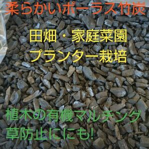 熊本県産 柔らかめ　竹炭 　約１５キロ　田畑の土壌改良に!