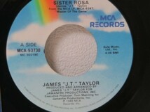 7★James J.T. Taylor Sister Rosa US盤_画像2