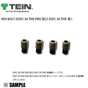 正規品 TEIN TEIN HEX BOLT　EDFC ACTIVE/PRO用　4個入り　ヘックスボルト 補修パーツ テイン(SAP44-P8463-4S