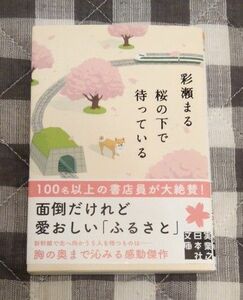 桜の下で待っている 彩瀬まる 実業之日本社