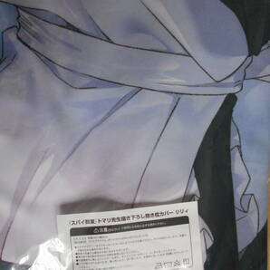 KADOKAWA 『スパイ教室』トマリ先生描き下ろし抱き枕カバー リリィの画像2
