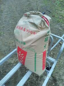 ◆全国発送可能◆神奈川産◆令和5年度◆清流米◆天日干し◆キヌヒカリ◆25kg◆玄米◆送料無料◆
