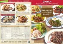 ハーブチキンシーズニング 100g×3袋 GABAN ミックススパイス 香辛料 パウダー 業務用 ギャバン 粉 粉末 ハーブ 調味料_画像7