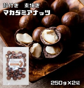 マカダミアナッツ 殻付き 素焼き 250ｇ×2袋 世界美食探究 ナッツ 希少 殻 ベトナム産 加工 おつまみ おやつ 無塩 無油 マカデミアナッツ