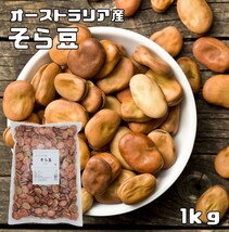 そら豆 1Kg まめやの底力 オーストラリア産 空豆 大特価 蚕豆 そら豆 ソラマメ しょうゆ豆 いかり豆 業務用 国内加工 乾燥豆_画像1