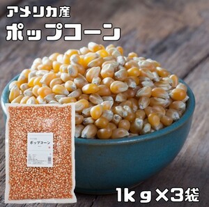 ポップコーン 1kg×3袋 まめやの底力 お徳用 手作り Pop Corn 豆 アメリカ産 コーン おやつ おつまみ お菓子 業務量 大容量