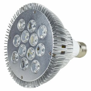 LED 電球 スポットライト 24W(2W×12)青10白2灯 水槽 照明 E26 LEDスポットライト 電気 水草 サンゴ 熱帯魚 観賞魚 植物育成