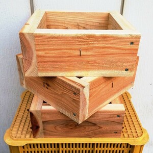 日本ミツバチ 重箱式 継箱 3段セット 杉 蜜蜂 みつばち 巣箱 重箱