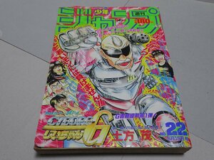 週刊 少年ジャンプ　1989年5月15日号 No.22