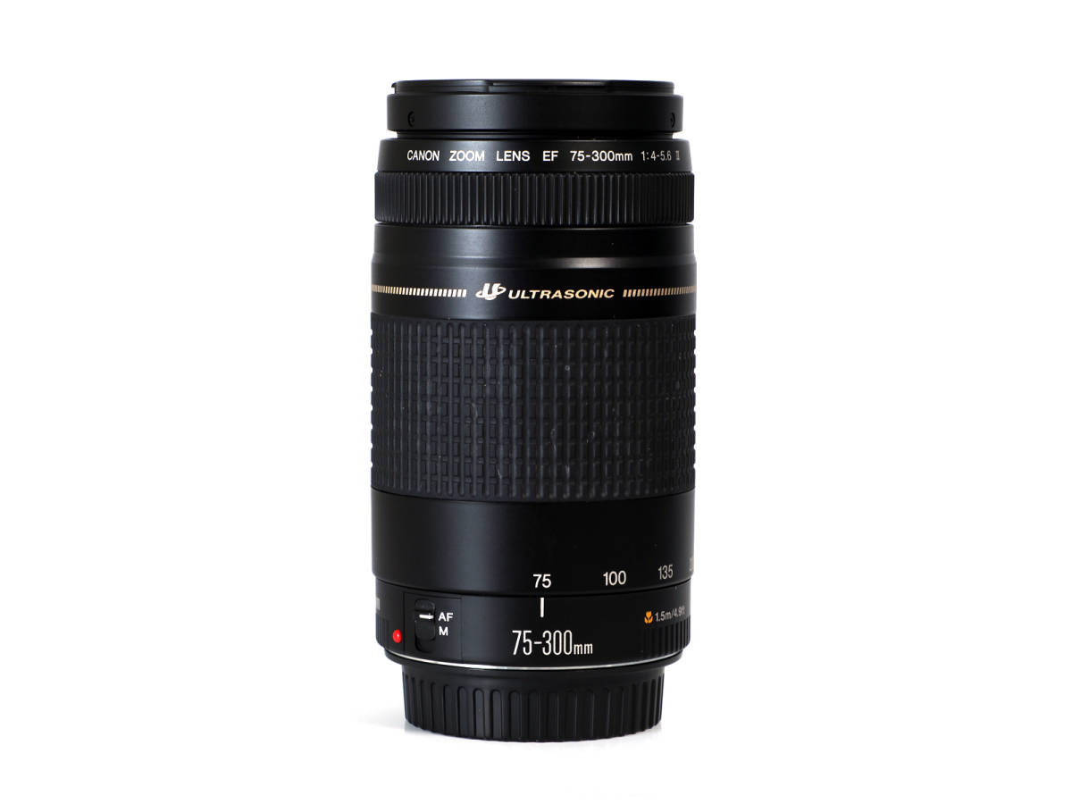 2023年最新】Yahoo!オークション -ef 75-300mm f4-5.6 iiの中古品