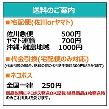 ◆未開封CD★『高橋直純 シングル 18枚セット』幼獣マメシバ 歩いて帰ろう タイムカプセル 風になって ふうらいぼうきょう 望遠郷★1円_画像9