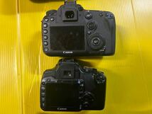 一眼レフまとめ売りCanon EOS 7D markⅡ Canon EOS Kiss SIGMA シグマ APO 170-500mm Tokina AT-X 80-400_画像3