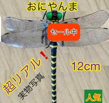 激安★12cm 虫除けトンボ 虫よけ オニヤンマ おにやんま 実物大 ゴルフ ラウンド ブローチ 昆虫 釣り キャンプ アウトドア 害虫駆除君人気_画像1