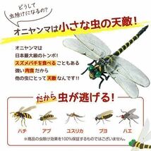 激安→オニヤンマ トンボ 安全ピン付き 昆虫 動物 虫除け おにやんま 蜻蛉 模型 家 おもちゃ PVC インテリア★3個_画像3