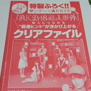 K15 AKB48 クリアファイル AKB48殺人事件