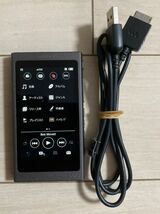 SONY walkman NW-A45 16GB 本体 純正 USBケーブル 付き 動作品 初期化 Hi-Res Bluetooth ハイレゾ ウォークマン ソニー NW 送料無料_画像1