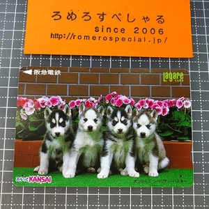 同梱OK∞●【使用済カード♯1435】スルッとKANSAIラガールカード「シベリアン・ハスキー/犬シリーズ」阪急電鉄【鉄道/電車】