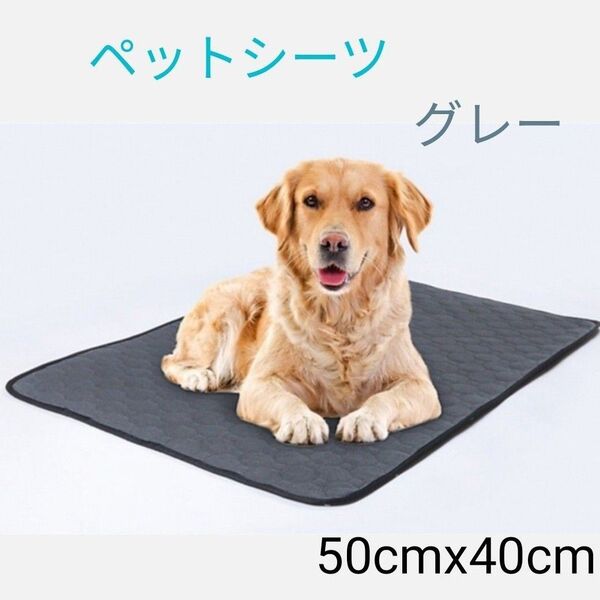犬猫 ペット用トイレシート 吸水マット 滑り止め グレー 50cm ×40cm