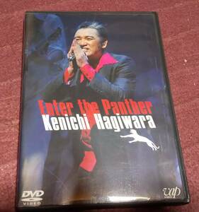 【DVD】萩原健一「Enter the Panther」