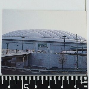 88年 カルビー プロ野球カード No.19【BIG EGG ビッグエッグ 東京ドーム 球場】昭和63年 1988年 当時物 Calbee おまけ 食玩【中古】送料込