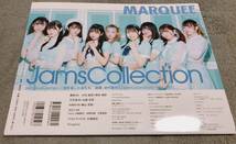 MARQUEE vol.145 大沼晶保 増本綺良 欅坂46 梅山恋和 山崎怜奈 NGT48 本間日陽 ラストアイドル 大場結女 小野寺梓_画像2