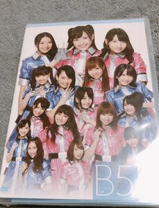 AKB48 Team B 5th stage「シアターの女神」DVD 新品未開封品