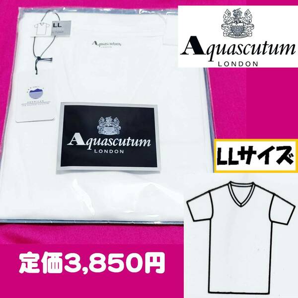 【LL】アクアスキュータム Aquascutum V-Tシャツ 半袖 綿100％ 白　A