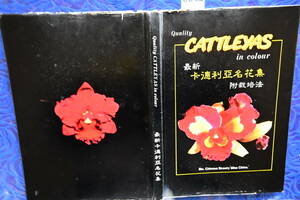 BB-62 洋蘭 中古 書籍 Quality CATTLEYAS in color　(R5.1119-BB-本) 