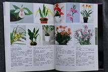 BB-65 洋蘭 中古 書籍 原色洋ラン写真集　Color Encyclopaedia of Potted Orchids　(R5.1119-BB-本) _画像5
