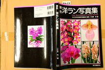 BB-65 洋蘭 中古 書籍 原色洋ラン写真集　Color Encyclopaedia of Potted Orchids　(R5.1119-BB-本) _画像1