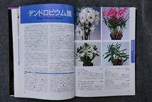 BB-65 洋蘭 中古 書籍 原色洋ラン写真集　Color Encyclopaedia of Potted Orchids　(R5.1119-BB-本) _画像3