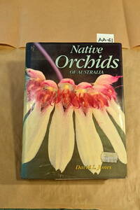 AA-61　洋蘭 書籍 洋書　Native Orchids of Australia David L .Sones　(R5.1105-AA-本) 