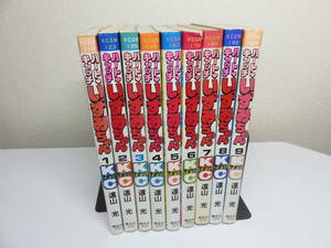 ハートキャッチいずみちゃん　1~9巻　全巻セット　遠山光