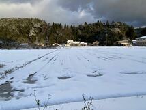 ２０２０／１２／１６初雪の田んぼ